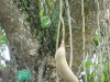 img_2291-copy