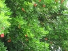 img_2293-copy