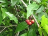 img_2300-copy