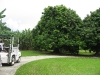 img_2317-copy