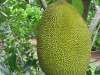 img_2318