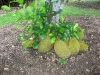 img_2320-copy