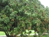 img_2354-copy