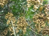img_2355-copy