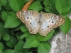 img_2357-copy