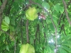 img_2364-copy
