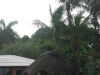 img_2089