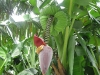 img_2288-copy