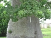 img_2295-copy